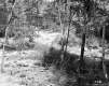 E.J. and E.D. Adams Property