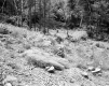 E.J. and E.D. Adams Property