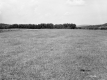Edward M. and Gustie A. Simeon, C.A. and A.M. Simeon's Property 
