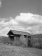 Covered Bridge