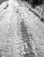 Bit. Road Surface