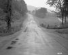 Tinmouth Road