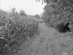 Ella M. MacLaury's Property