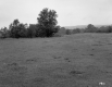 Grace Currier's Property