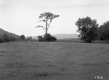 Grace Currier's Property