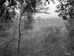 Andrew and Nancy Watson's Property