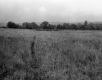 Andrew and Nancy Watson's Property