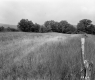 Andrew and Nancy Watson's Property