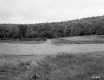 Homer and Esther Barton's Property