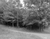 William H. Hickin's Property