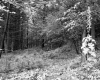 William H. Hickin's Property