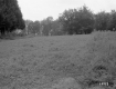 Area around Alfredo's Inn