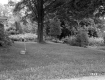 George and Helen Renner's Property