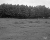 George and Helen Renner's Property