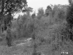 Alice and Sidney Clayton's Property