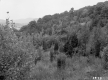 Alice and Sidney Clayton's Property