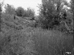 Alice and Sidney Clayton's Property