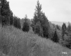 Alice and Sidney Clayton's Property