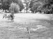 Walter M. and Winifred Lampman's Property