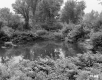Walter M. and Winifred Lampman's Property