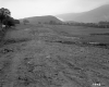 Frank W. Lathrop's Property