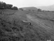 Frank W. Lathrop's Property