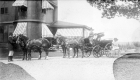 Horse and Carriage