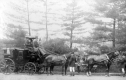 Horse and Carriage