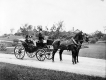 Horse and Carriage