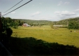 Bernier Farm