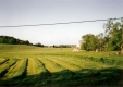Wendell Noble Farm