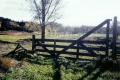 Farm Landscape