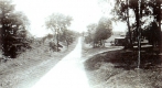 Farm Scene