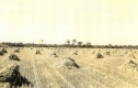 Farm off of Route 7