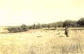Farm off of Route 8