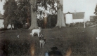 Sibley Barns