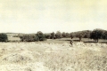 Farmland