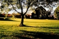 Farm Landscape