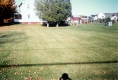 Barrett's Property