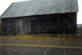 Captain Faye Berry' Farms