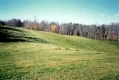 Everest Farm