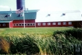 Devino Farm on North Road
