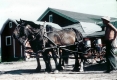 Ed Mayville's Farm