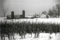 Sanderons Farm