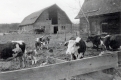 Sanderons Farm