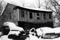 Elm Tree House