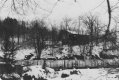 Elm Tree House