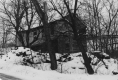 Elm Tree House