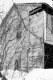 Side View of Elm Tree House