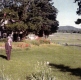 Wagner's Home and Flower Garden